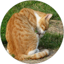 laetitia chausson laetitia chausson